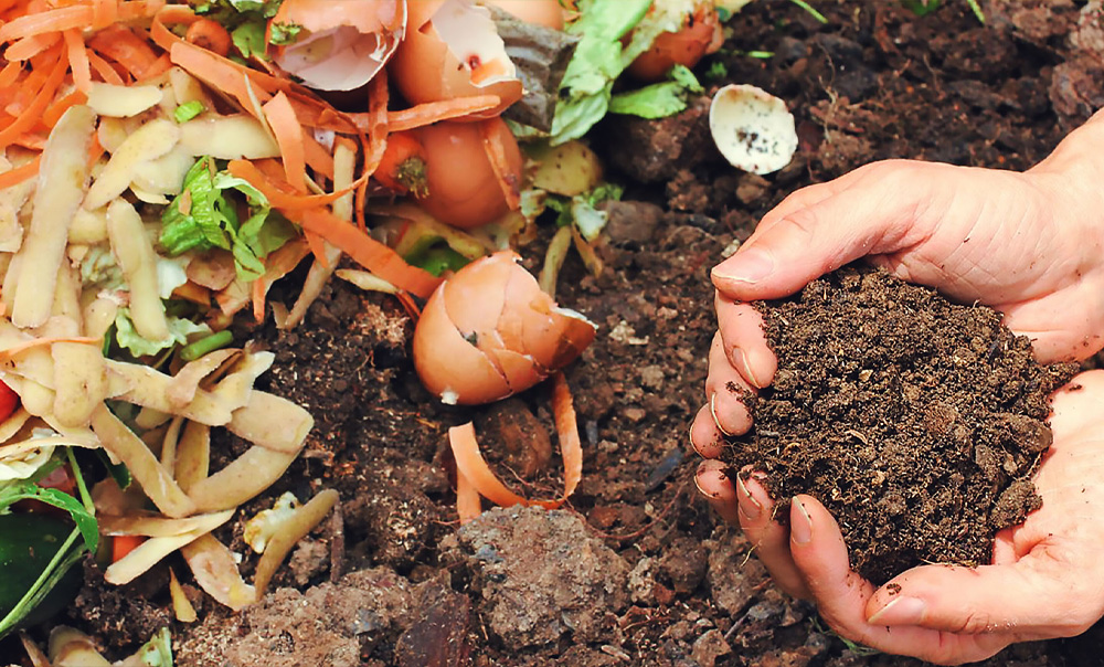 Корма и молоко: от чего зависит качество?