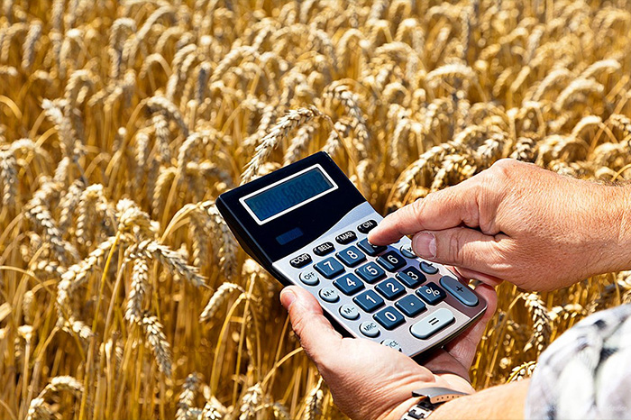 Россельхозбанк зафиксировал значительный рост доходов российского аграрного сектора
