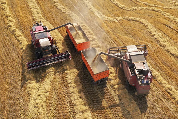 Ставропольский край получит 5 млрд рублей на развитие сельского хозяйства в 2025 году