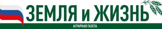 Главная