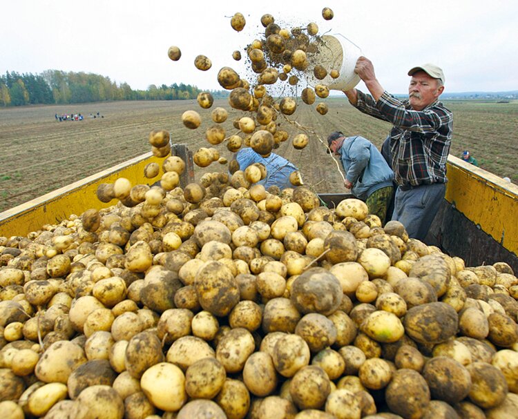 В 2022 году в Иркутской области стартует новый вид грантовой поддержки для предприятий АПК