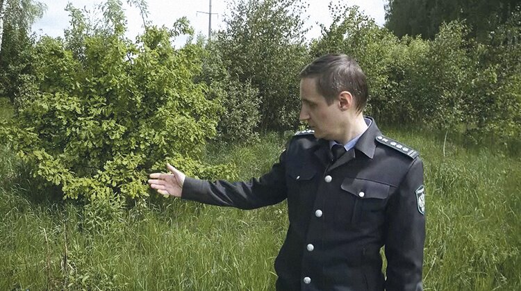 Костер размером с пашню