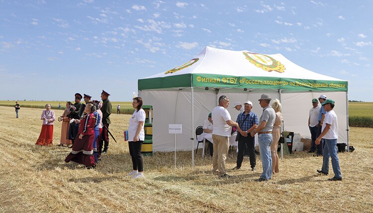 Демонстрация местных