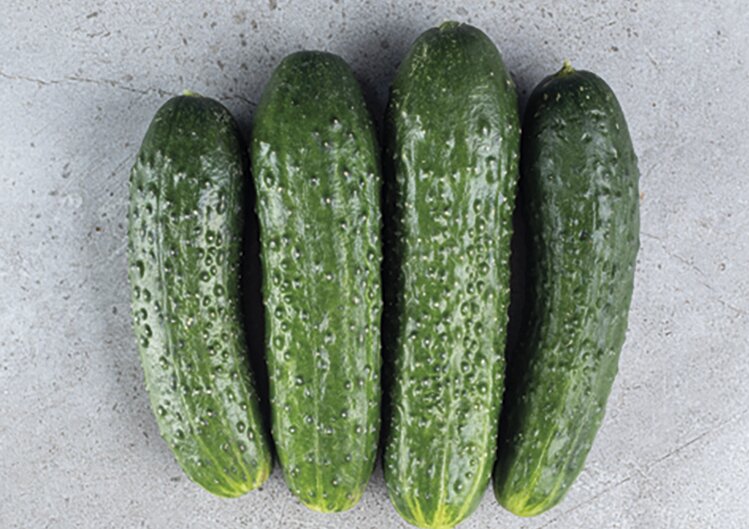 Производство тепличных овощей