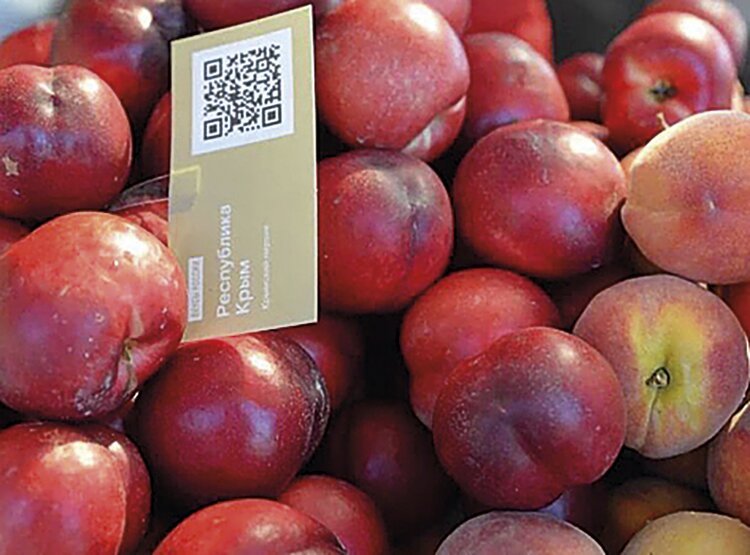 На фестивале «Вкусы России» презентовали крымские персики