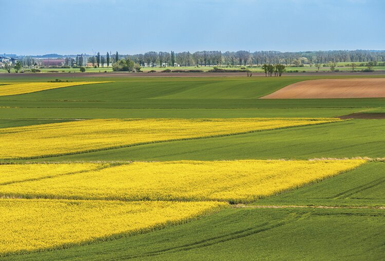 Азотные удобрения в Великобритании подорожали на 180 %