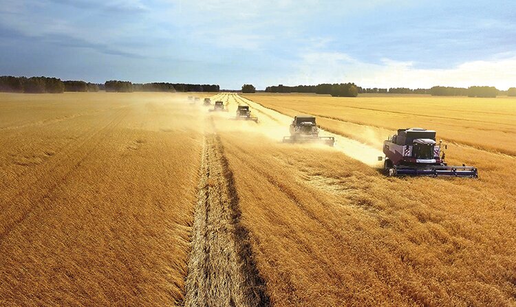 Россия накормит. Если захочет