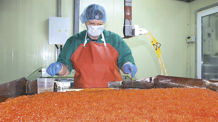 Нелегальный «красный» бизнес прикроют