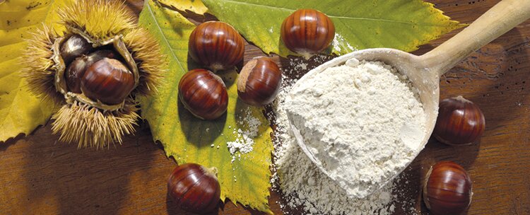 Итальянские ученые предложили досыпать каштановую муку в хлебобулочные изделия