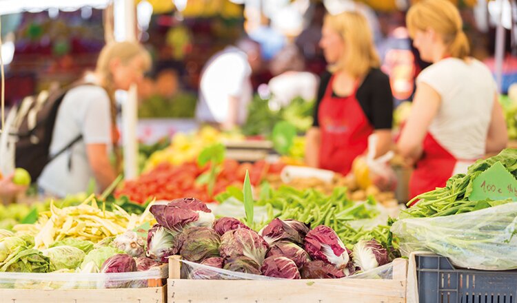 В Подмосковье ритейлеры начали предлагать фермерам бесплатные торговые места