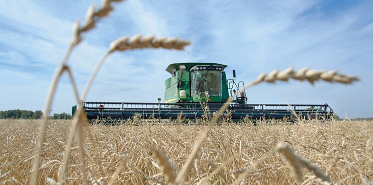 Крымские аграрии закончили уборку ранних зерновых