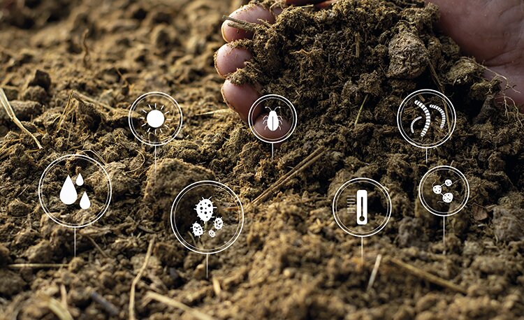 Навоз больше не отход