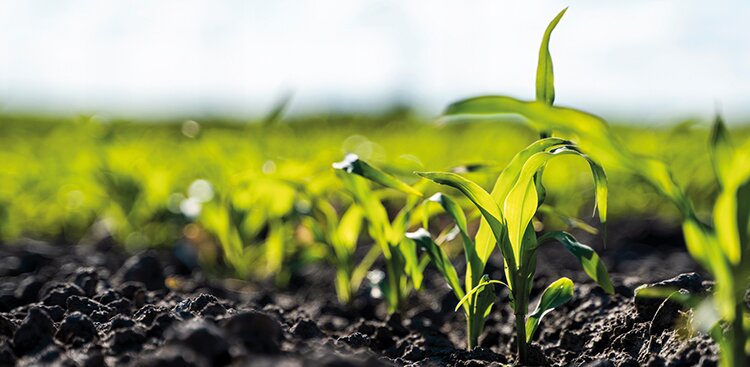 Бережная защита