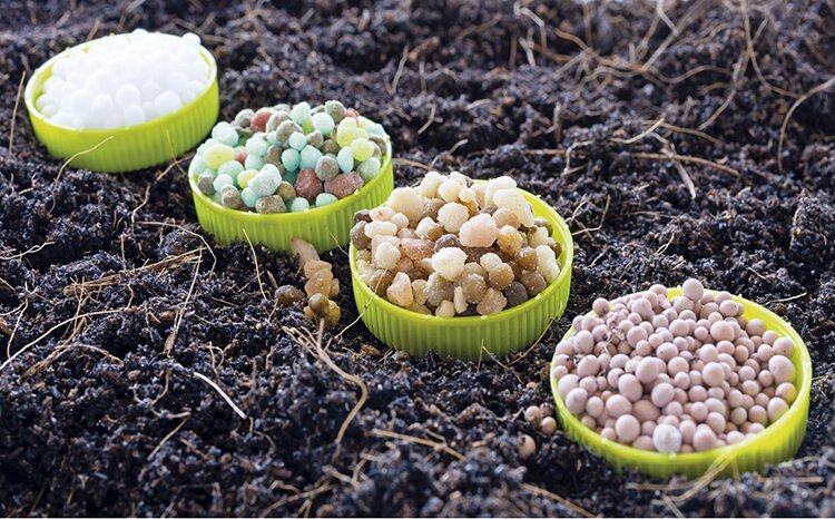 Рекорд уходит в фураж