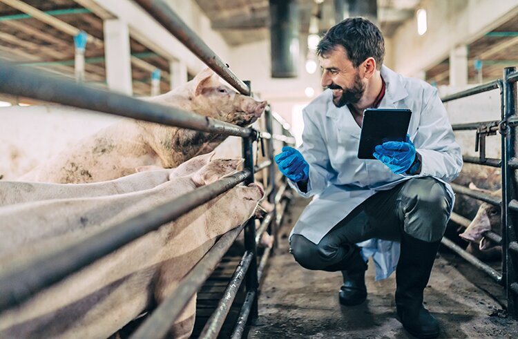 Что волнует фермеров