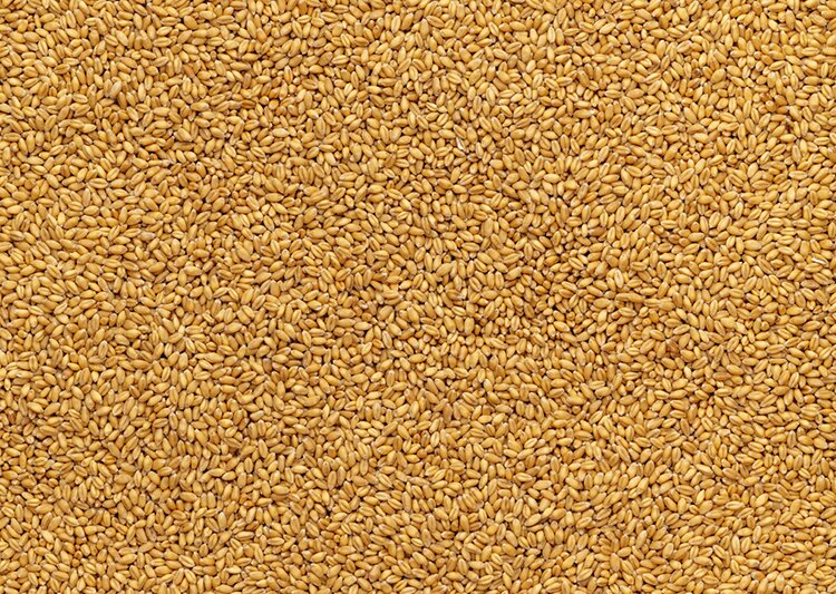 Россельхознадзор с 15 августа ввел запрет на ввоз растительной продукции из нескольких регионов Молдавии