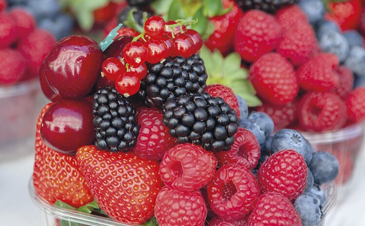 Запасайтесь ягодами