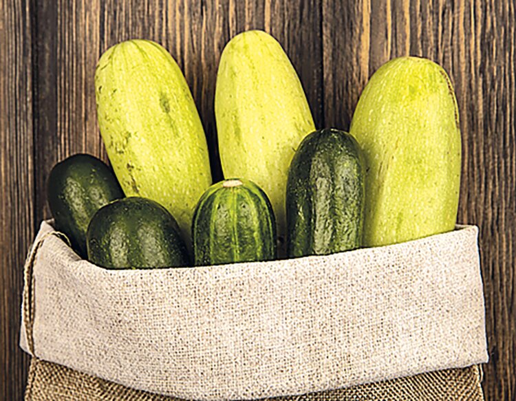 Кредитование сезонных полевых работ увеличилось на 34,9%