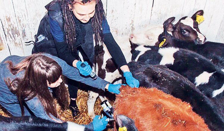 В Вологде сельхозтоваропроизводители получат компенсации за практику студентов