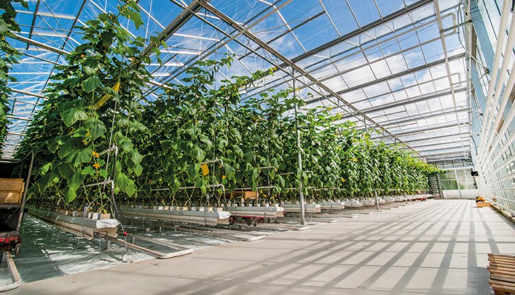 Сельское хозяйство стартануло