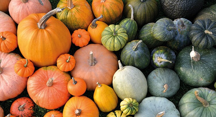 Ягода-гигант