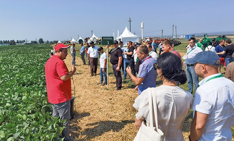 Соя на курском направлении