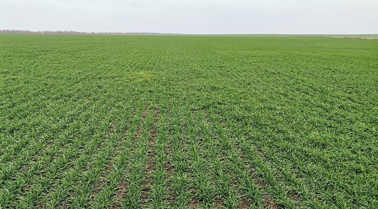 Гарантия урожая