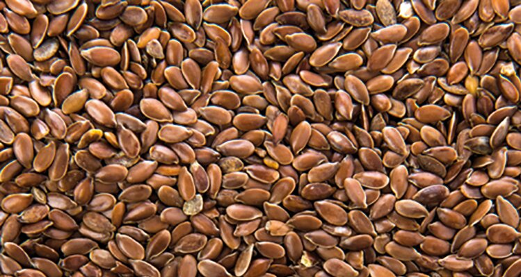 Минсельхоз не будет продлевать пошлину на экспорт масличного льна