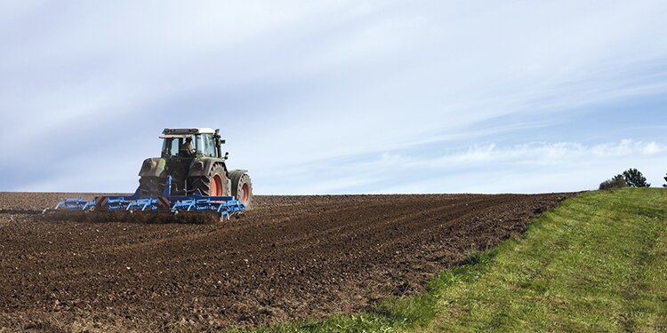 Воронежские аграрии
