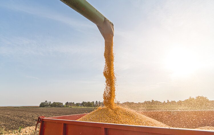 Всем выйти из сумрака