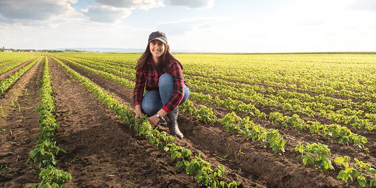 Регионы-лидеры по числу вакансий в сельском хозяйстве