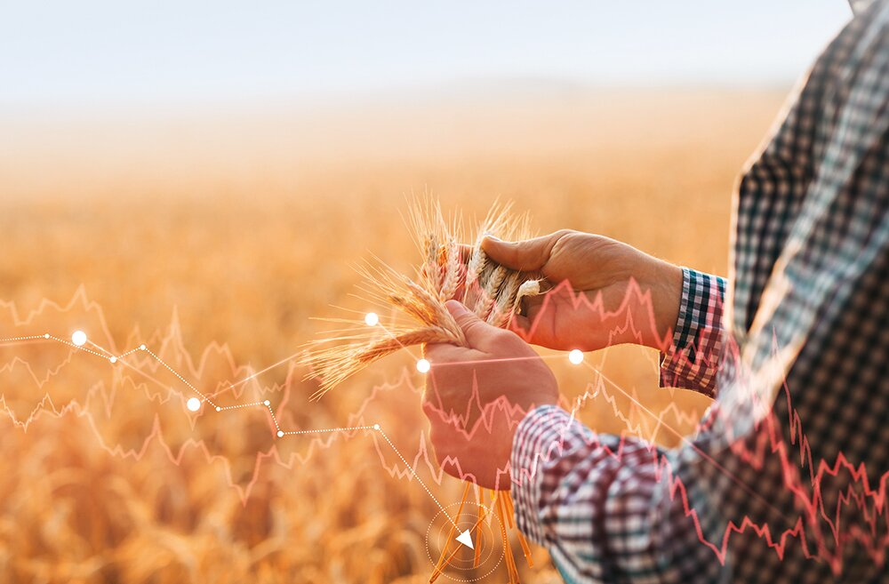 Запорожье и Херсон