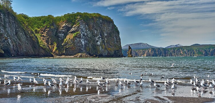 Осенний релакс